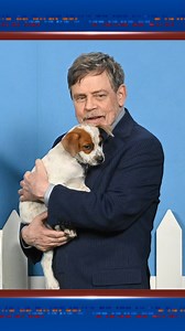 Mark Hamill has a furociously astute hedge fund manager he'd like to introduce you to! Check out Penny, Opal, and all of other equally impressive North Shore Animal League America pups available for adoption! Visit animalleague.org/rescuedogrescue for more information. 🐾 #Colbert #RescueDogRescue #MarkHamill | The Late Show with Stephen Colbert