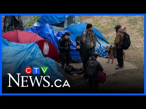 Toronto’s shelter system facing accessibility audit demands from advocate groups