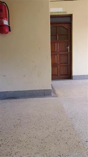 ysl_.peter (@y.s.l_peter)’s videos with original sound - ysl_.peter