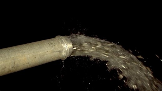 Kids witness rare release of 500K baby salmon into San Pablo, SF Bays