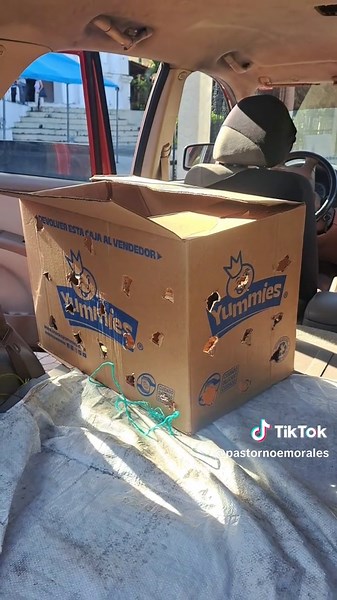 Pastor Noe Morales on TikTok