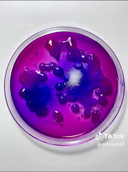 Microbial Magic: Exploring Fun Bacteria Art