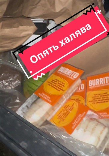 Сколько еды выбрасывается зря: шокирующая находка