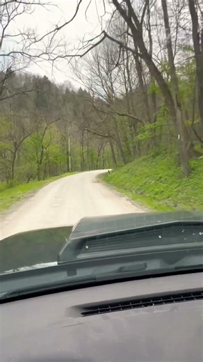 Backroad Therapy 🌿 Windows Down, Spring is in the Air #backroads #countrylife #outdoors