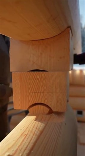 Handcrafted Log Wall Assembly #LogHouseBuild #TimberCraft #WoodworkMagic