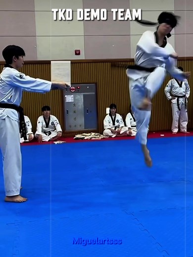 Taekwondo Board Breaking Techniques Explained