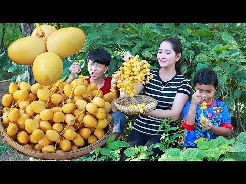 Sweet Date Palm | I make it Extremely sweet | Fresh Date Palm fruit at the market in my country