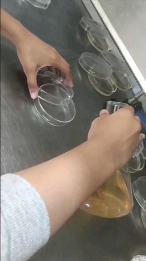 Preparation of Agar Plates #microbiology #experiment