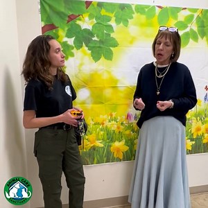 1.1K views · 18 reactions | Electric collars, often referred to as...