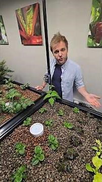 Harmony Aquaponic System just got bigger!
