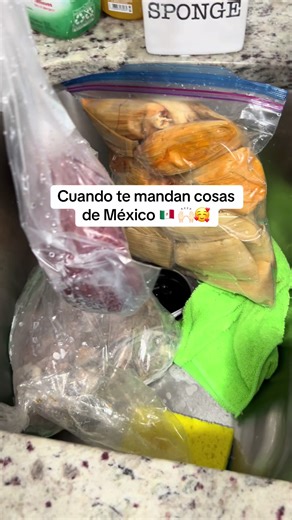 Comida Mexicana: Tamales, Enchiladas y Más
