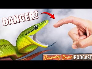 Crazy Snake Catch in Thai Jungle!