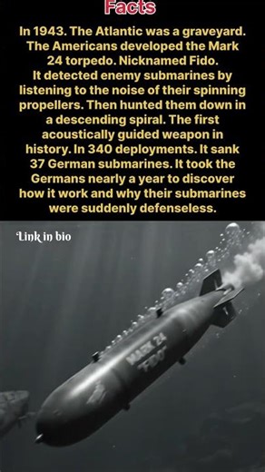 America’s Secret Weapon That Saved the Atlantic — “Fido” Hunted Nazi Submarines | WWII