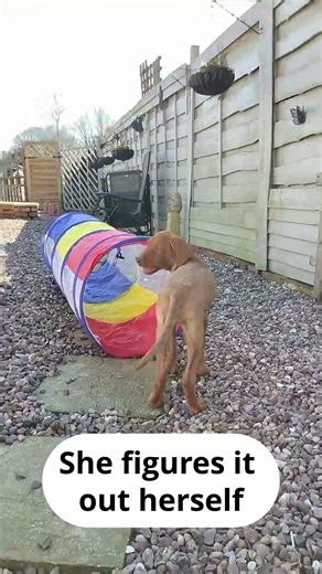 I set up a tunnel and said nothing. This happened.