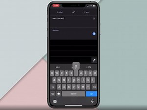 Best Offline Translators for Android and iOS (2020)