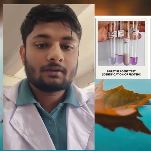 #Students reporting the colorimetric test of #protein (in egg, BSA, saliva, milk ) BPharm Students