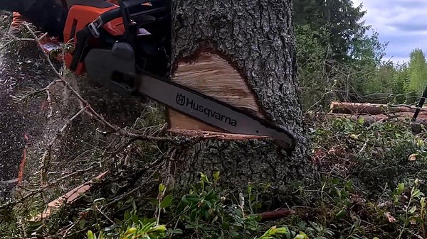 Building the Perfect Tree Swing with SIZWHEEL