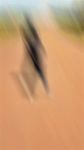 ogoti James (@ogoti.james)’s videos with original sound - ogoti James