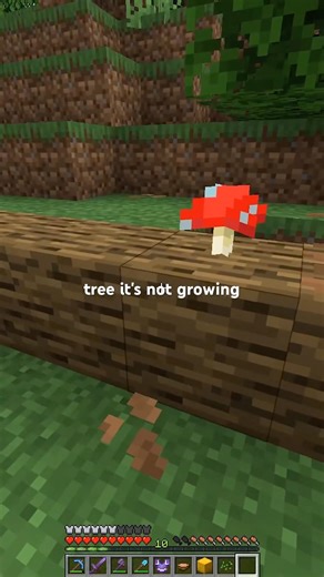 MOJANG COOKED #minecraft #survival #playthrough #realistic #gameplay #english #java #bedrock #tips