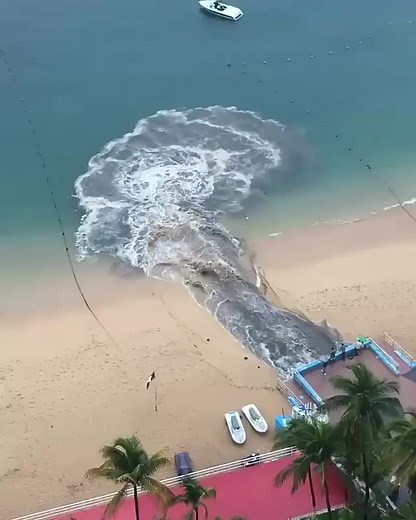 Environmental Impact of Raw Sewage Dumping in Acapulco Bay