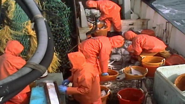 Modern Marvels Season 10 Episode 65 Commercial Fishing