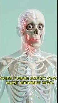 что будет если тебя укусила бешеная собака?