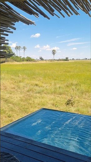 Top Luxury Safari Lodge in Botswana 🇧🇼 #Afrika24Reisen #botswana #travel #safari