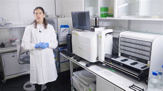 35. Confocal Start: DAPI First and Autofocus