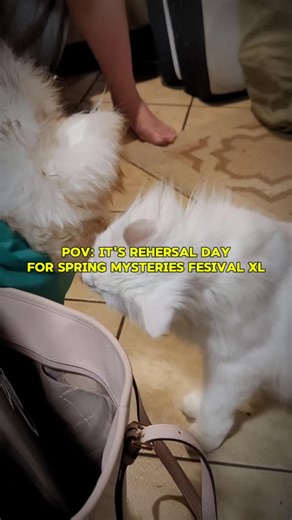 Get ready for an unforgettable experience at the Spring Mysteries Festival XL! 🎉🎭 We’re pulling back the curtain to show you our vibrant rehearsals and all the magical moments in store! From captivating workshops to soul-stirring rituals, plus a special concert from the amazing Wendy Rule, there’s something for everyone. ✨ Join us in Seattle from April 2nd-5th, 2026, and let’s create some mystical memories together! 🌸💫 Don’t miss our open vendor hall filled with unique treasures. Are you exc