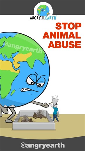 Porcupine - Stop Animal Abuse