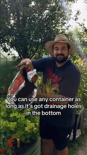 Grow Your OWN POTATOES at Home in Small DIY Containers for Christmas