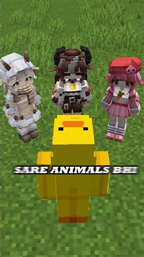 Do not trust these girls...#minecraft