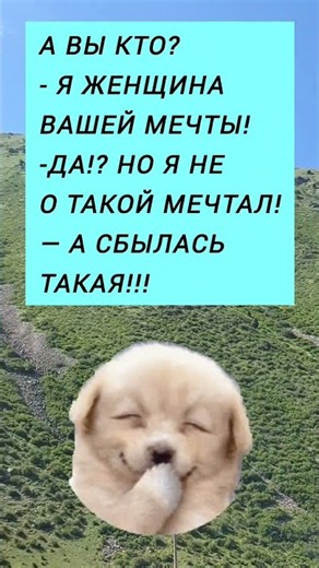 Я женщина вашей мечты!!! #анекдоты #шуточное #юмор #смех #смехпродлеваетжизнь #смешновидео