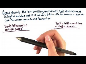 Polygenic and monogenic traits - Intro to Psychology