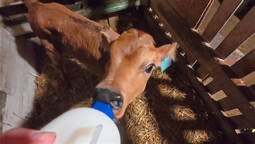 Маловато будет...