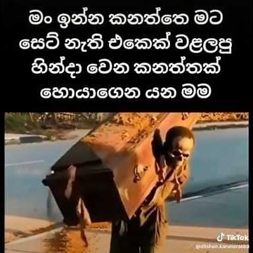 goust funny video 👌🤣 #catvideos #funny #comedyshorts