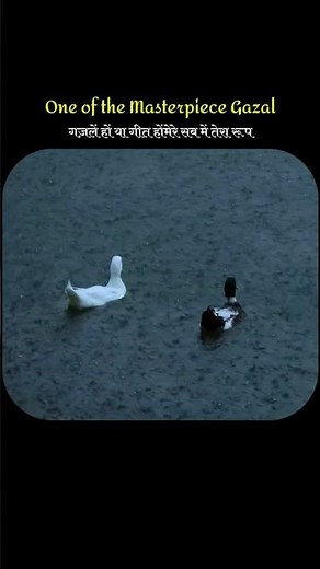 🌙 Chandi Jaisa Rang Hai Tera ❤️ | Pankaj Udhas | Evergreen Ghazal | Soulful Classic
