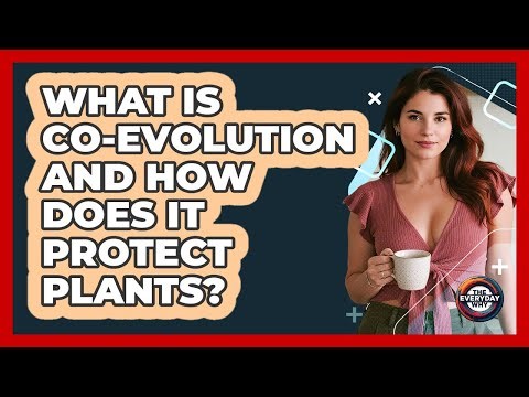 What Is Co-evolution And How Does It Protect Plants? - The Everyday Why