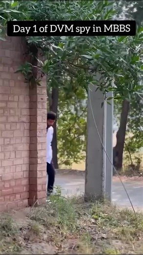 Exploring Veterinary Medicine: A Day in the Life of a Vet Student