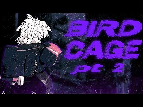 Beyond The Walls (Birdcage)
