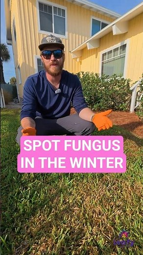Brown Grass in Winter? Don’t Ignore This