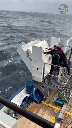 How Can Passengers Escape a Sinking Ship? 😨🚢