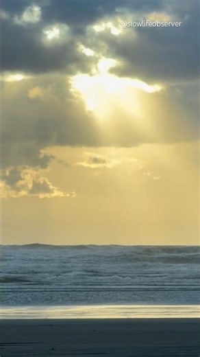POV: sunset by the ocean, Ocean City state park, WA