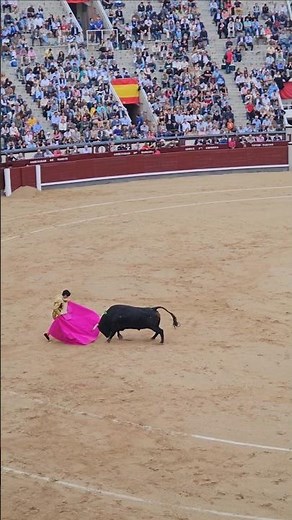 Corrida de toros en Las Ventas Madrid (no graphic scenes)