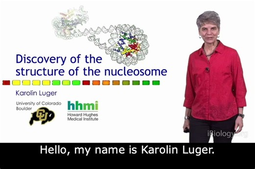 【搬运】iBiology-Discovery of the Structure of the Nucleosome（核小体的结构）