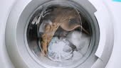 Washing Machine,White Color,Washing,Laundry,Clothing, Close up view...