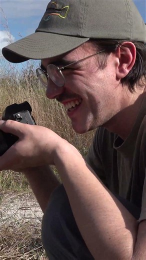 We Found A Rattlesnake in the Everglades?