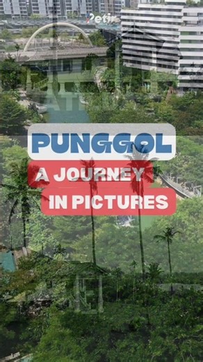 Punggol: A Journey in Pictures