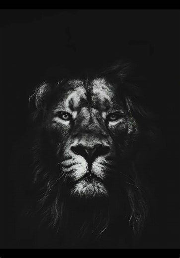 میرسی مخصد چی خبر وو 😂😂😂 #nothing_army #fb_nothing #😂😂😂😂 #😂😂😂 @Nothing👑 @NO_MERCY_GAMING @insaneWAIS