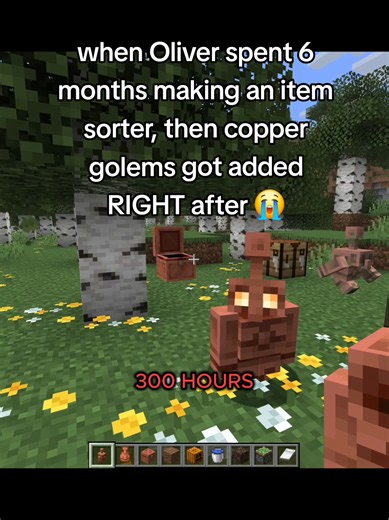 Oliver item sorter and copper golems in Minecraft